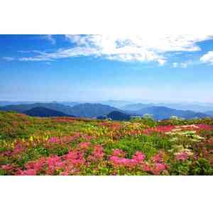伊吹山ドライブウェイスカイテラス伊吹山