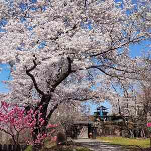 土岐市