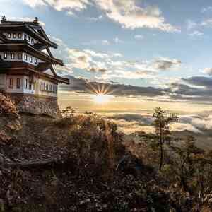 山県市